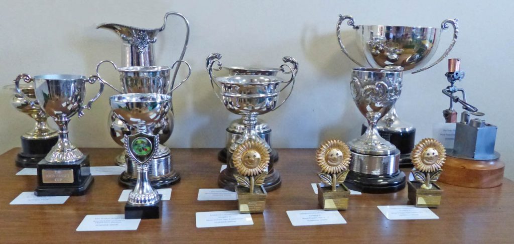 Winners Cups image