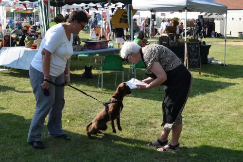 Shalford Village Fete June 2023